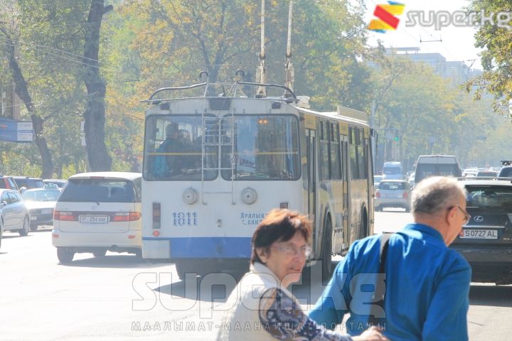 Айдоочу көрбөй, калтырып кеткен тургундар
