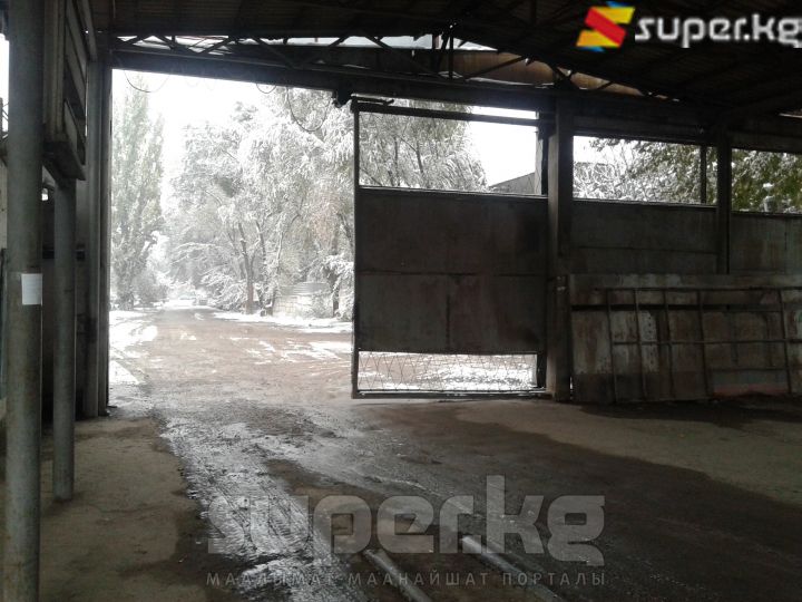 "Сары-Өзөн" базарына негизги кириш жол