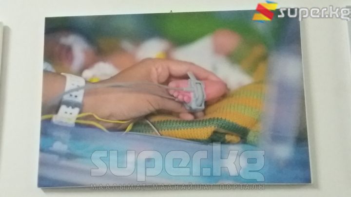 Ара төрөлгөн балдарга арналган сүрөт көргөзмөсүнөн