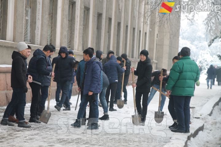 Студенттер муз каптаган тротуарды тазалашты. 