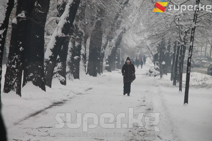 Өмүргө коркунуч жараткан эс алуу багы