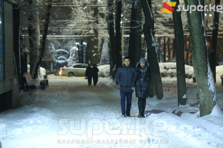 Эс алуу багында жетелешкен жаштар