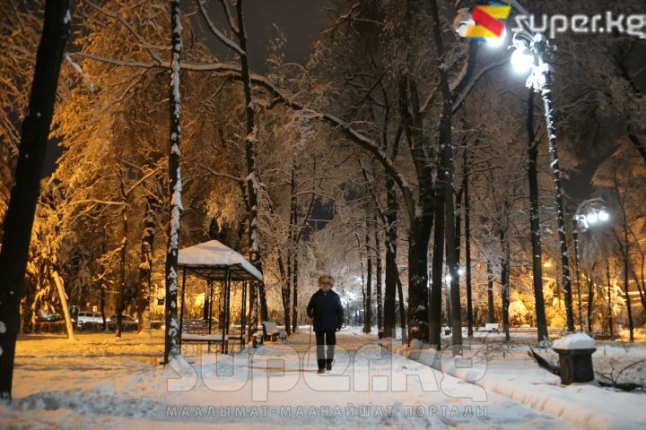 Кечки таза абадан дем алып, сейилдеп жүргөн карыя