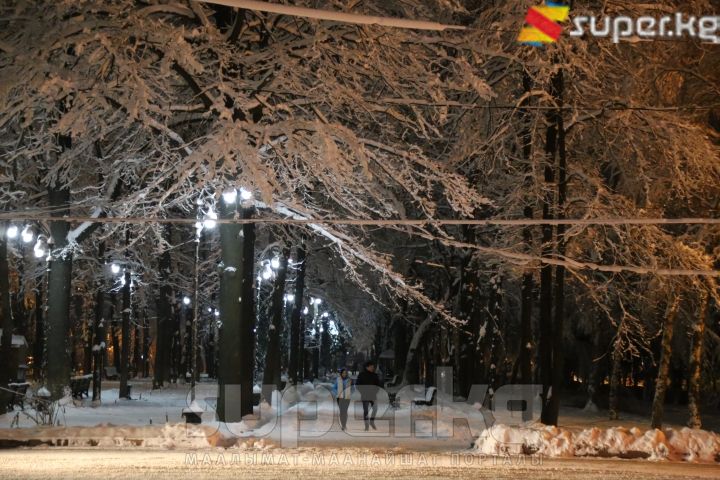 Кооздукка бөлөнгөн эс алуу багы