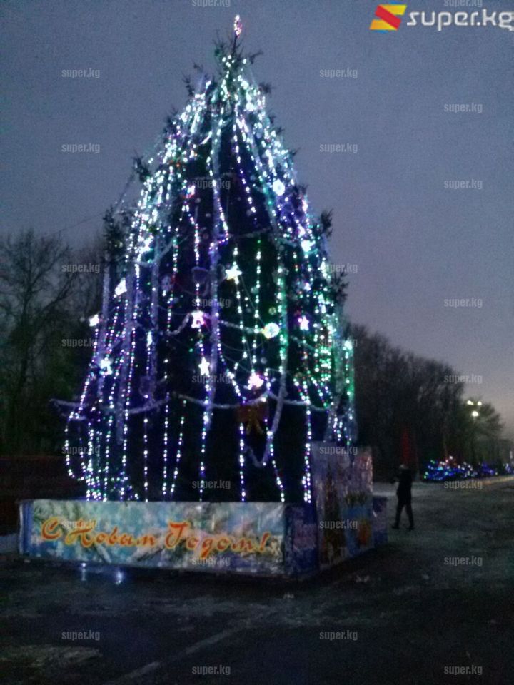 Токмок шаарынын балатысы