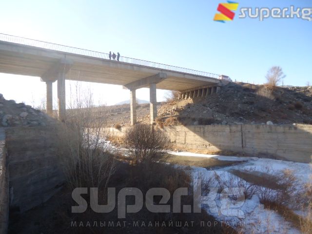 Өспүрүм кыз ушул көпүрөдөн секирген. 