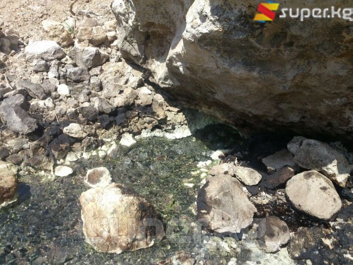Дарыянын жээгиндеги таштардын астынан чыккан нефти