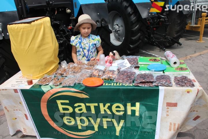 Ар бир облус өзүнө таандык жер-жемиштерин, кайра иштетүүчү өнөр жай продукцияларын тартуулады. 