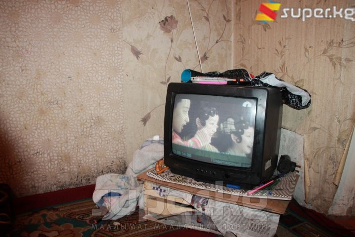Сулайманованын батириндеги сыналгы
