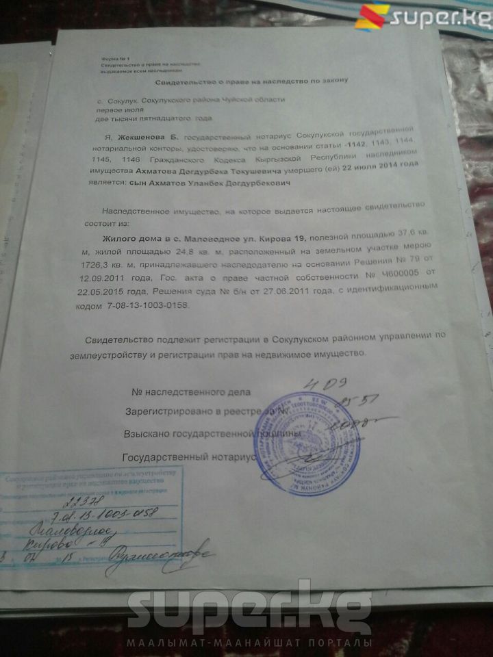 Үйдү сатып алган тараптын эжеси Айчүрөк Усупова тарткан сүрөт