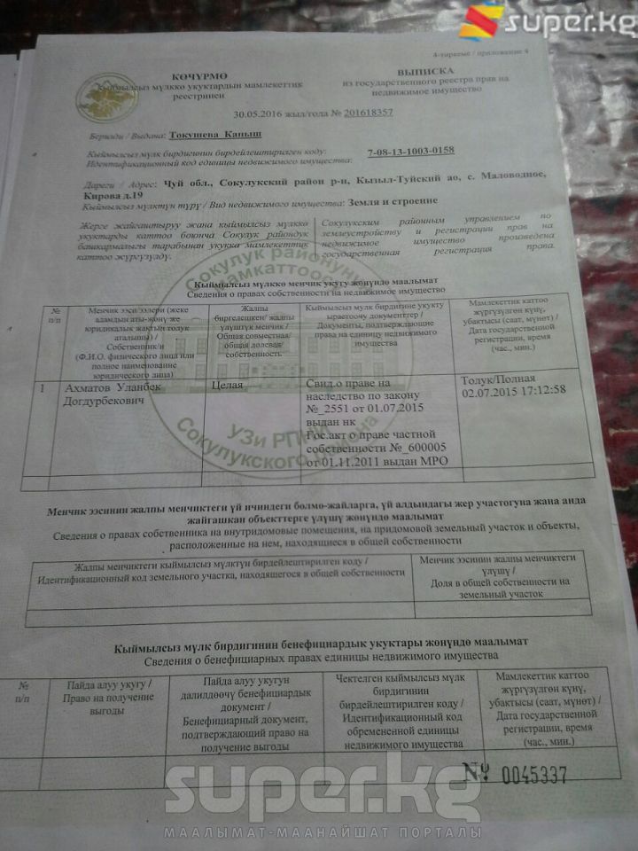 Үйдү сатып алган тараптын эжеси Айчүрөк Усупова тарткан сүрөт
