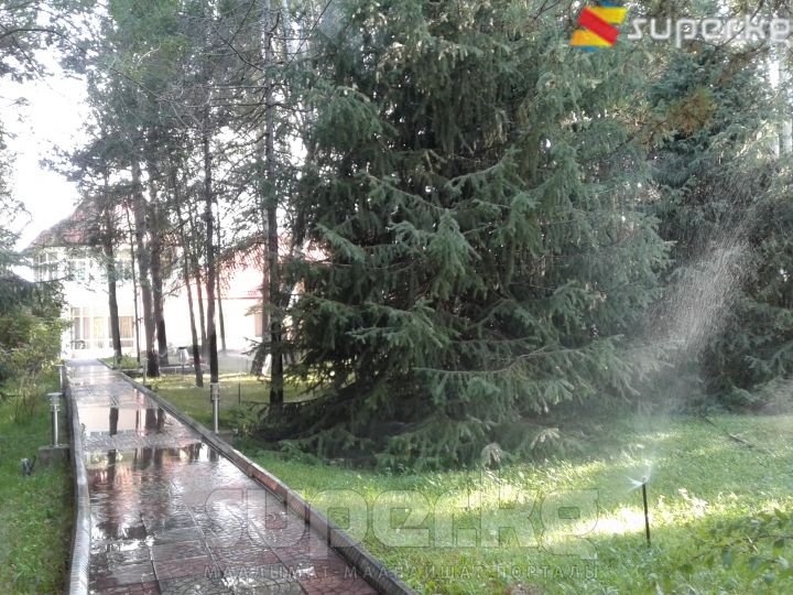 Санаторийдин аймагында түрдүү бак-дарактар өсөт.