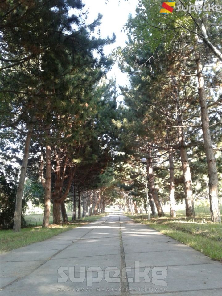 Көлгө алып барчу тротуар