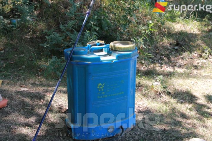Дарбыздарды дарылаган дары чачкыч буюм