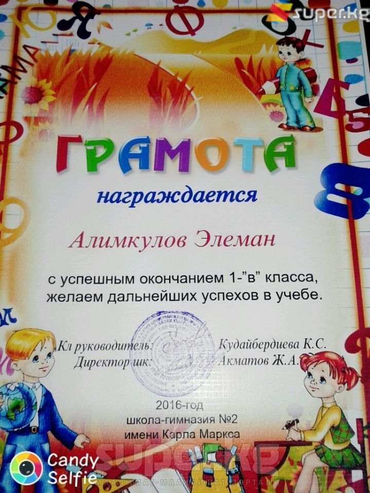 Мээргүлдүн уулу Эламандын мектептеги ийгилиги