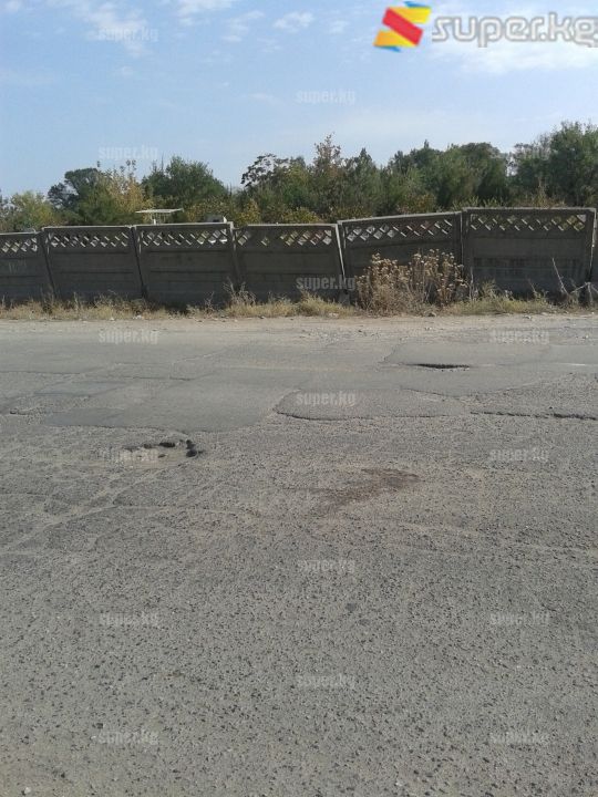 Жол боюна сейилдөөгө чыккан жаш эне өзүнүн сөөгү ушул эле жолдун аркы бетине коюлат деп ойлобосо керек. 