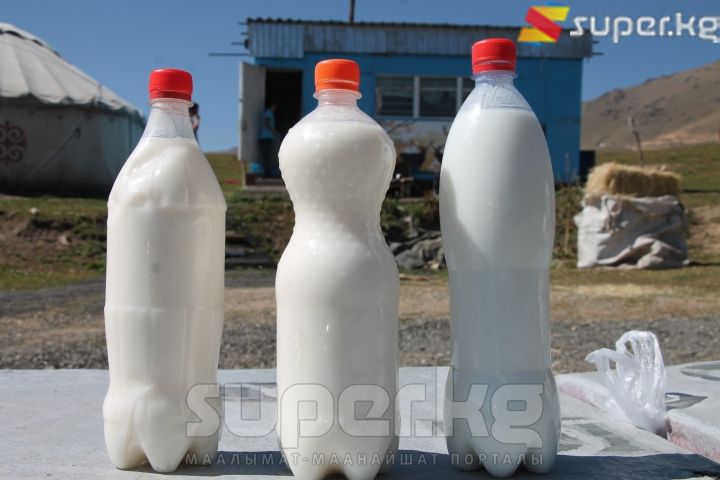 Сатыкка коюлган кымыз