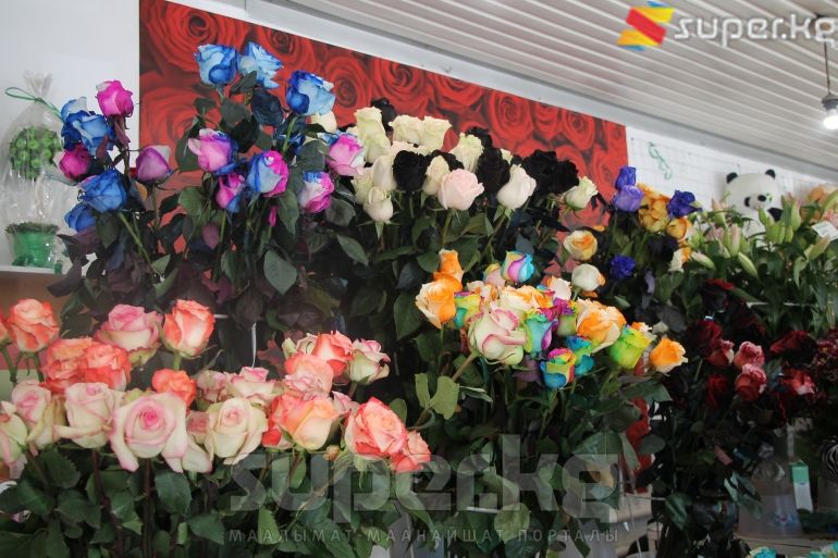 Түстүү розалар