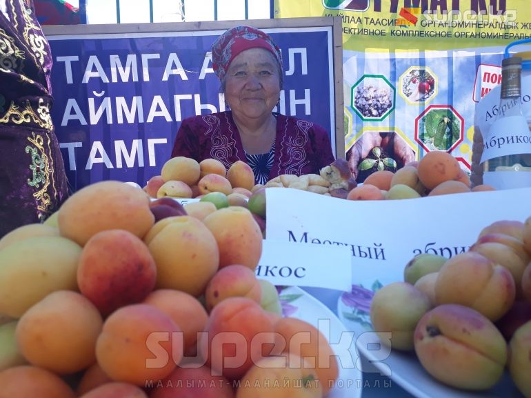 Мария Ногойбаева