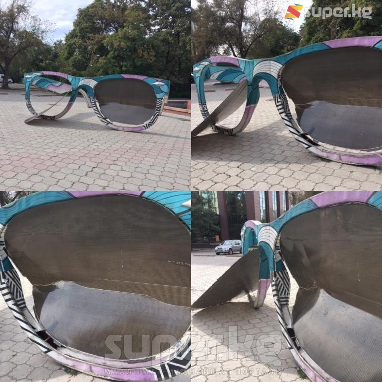 Социалдык тармактагы талкууга түшкөн сүрөт. Автор: Александр Воробьев.