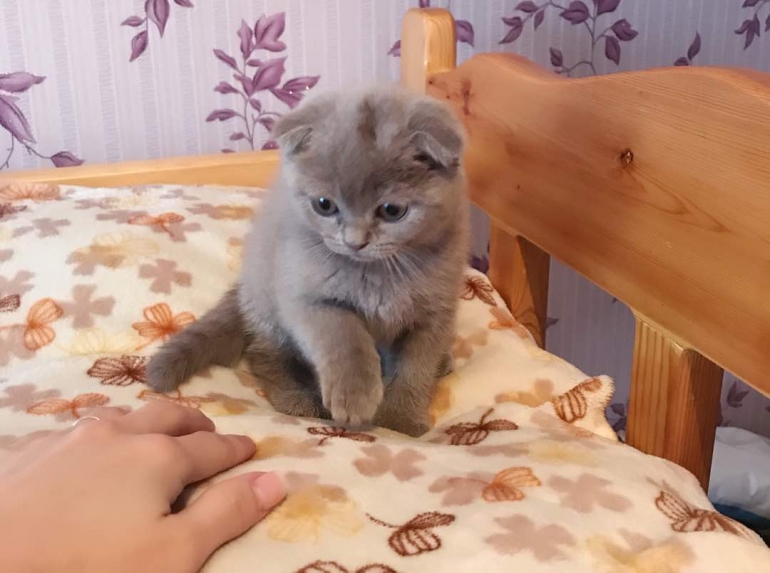 Якоб