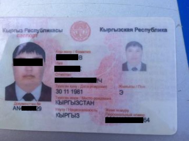 Жасалма паспорт