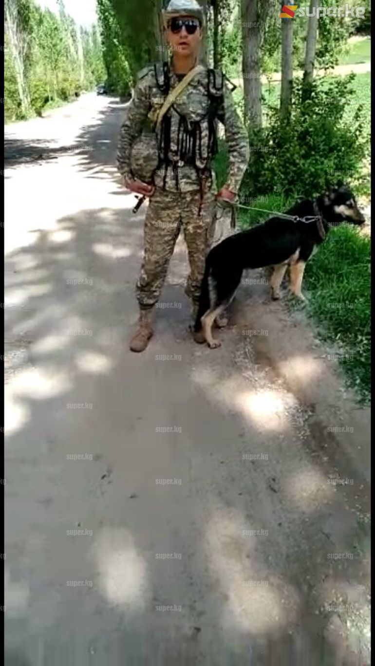Өзбек аскери Кыргыз аймагына өткөн учур