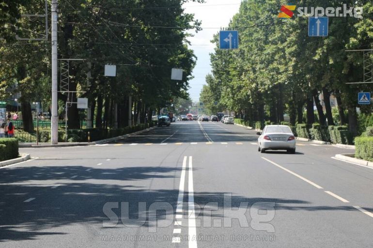 Жолду жалпы караганда жылмакай, тегиз көрүнөт