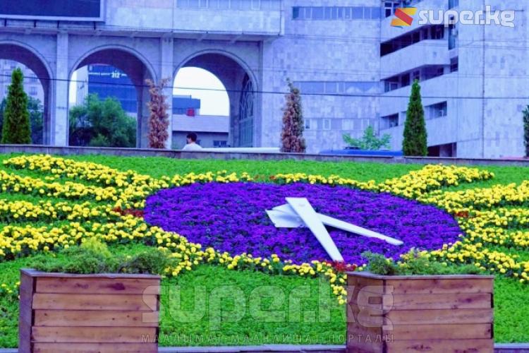 Жаңы түстөр менен жаңыланган борбордук аянттагы гүл саат.