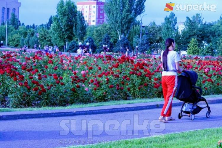 Наристелерин сейилдеткен апалардын саны арбын.