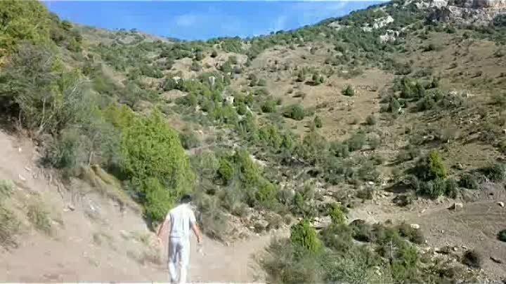 Зардалы айылына жалгыз аяк жол алып барат