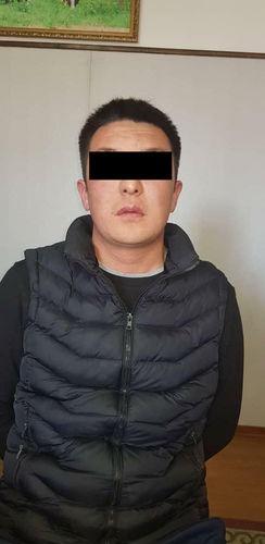 Ишкерди өлтүрүүгө шектелип кармалган жаран.
