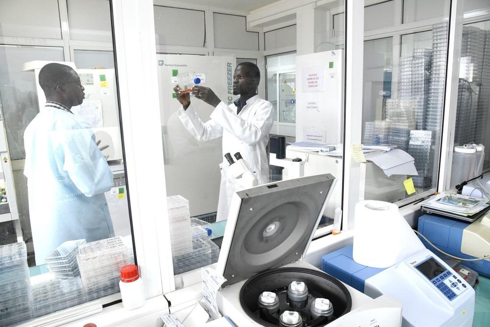 &quot;Institut Pasteur de Dakar&quot; лабораториясы
