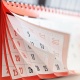 20-октябрь агроөнөр жай комплексинин кызматкерлеринин күнү катары жарыяланды