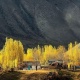 Жылуу болот. Эртеңкиге карата аба ырайы