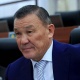 Депутат: "Жол кырсыктары көбөйүп жатат. Жол боюна мал жайганды токтотуу керек"