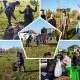 Жеңди түрүп, күрөк кармап... Борбордогу "Ынтымак" сейил багында көчөт отургузуу акциясы өтүүдө (сүрөт)