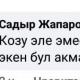 "Көзү эле эмес, көөдөнү кошо сокур экен". Чуулгандуу комментарий боюнча президенттик аппарат үн катты
