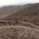 Өзбекстанга өтүп кеткен Кыргыз жаранынын малы кайтарып берилди