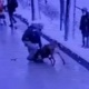 Бишкекте иттин балага кол салуусу. Баланын абалы канааттандырарлык