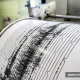Баткен облусунун аймагында күчү 4 баллга жеткен жер титирөө катталды