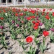 15-апрелге карата аба ырайы тууралуу маалымат
