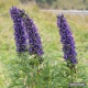 Уу коргошунду колдонуу кооптуу эмеспи? Саламаттыкты сактоо министрлиги жооп бере элек