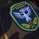 Чек ара кызматы Аламүдүн районунун Гроздь айылындагы абал боюнча комментарий берди