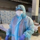 Бир сутка ичинде COVID-19 жана пневмония илдетинен 161 жаран сакайып чыкты