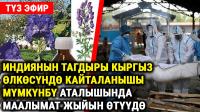 Чуулуу табып Хашим Зайналиев "акониттин дагы бир сырын ачам" деп маалымат жыйын берди (видео)