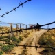 "Атышуу токтой элек". Чек арадагы чырдан жабыркагандардын саны 17ге жетти