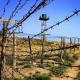 Баткен жана Согди облусунун башчылары чек арадагы жолду оңдоп-түзөө иштери боюнча сүйлөштү