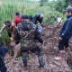 Жалал-Абад шаарында жамгырдан кийин сел жүрдү