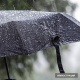 Жаан-чачын жаайт. Эртеңкиге карата аба ырайы тууралуу маалымат